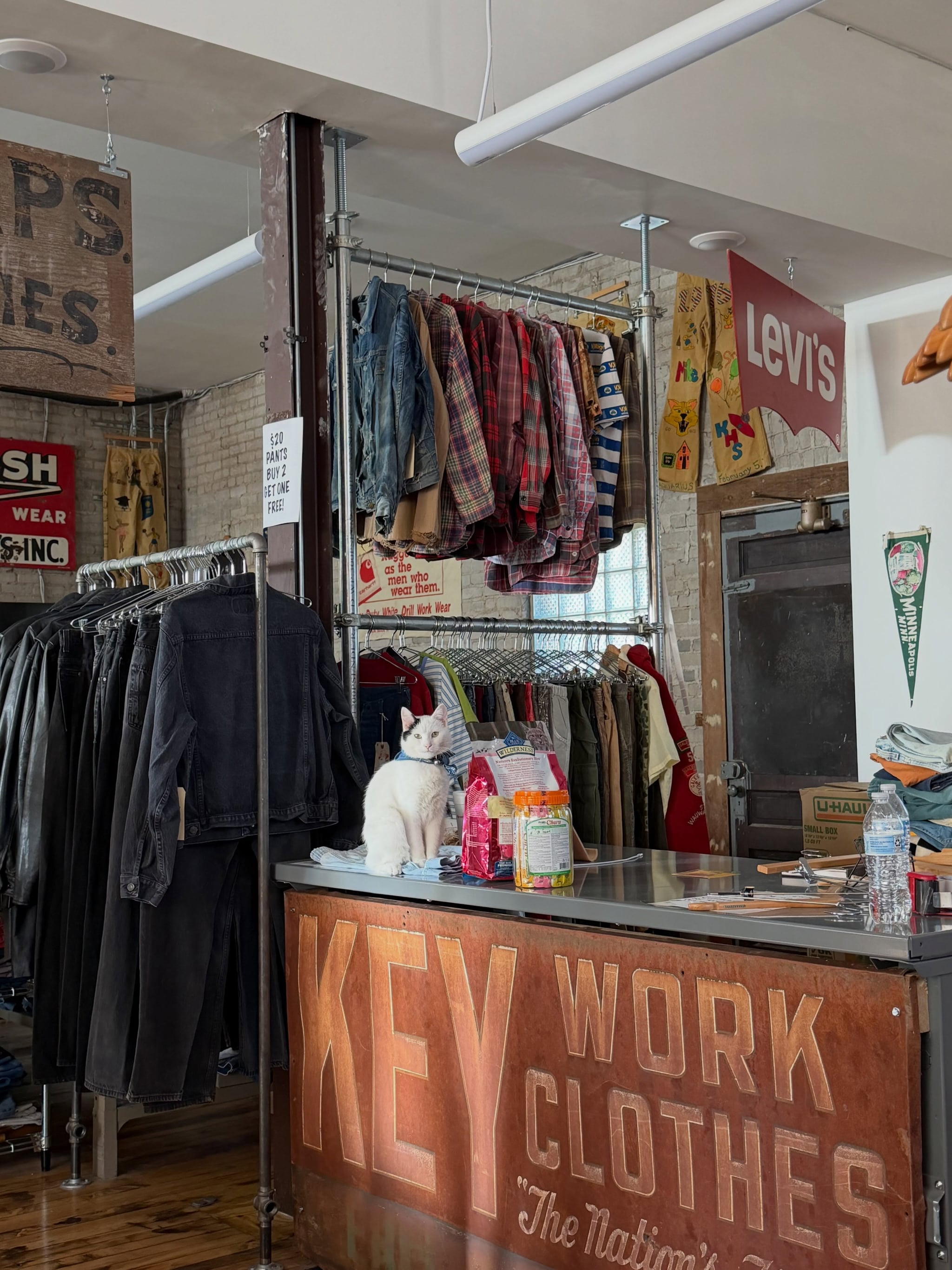 The shop cat sitting on the counter, whose front is an old painted KEY Work Clothes sign, with flannel shirts and a Levi’s banner behind